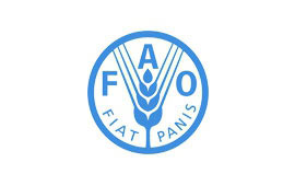 [STAIL]FAB Agenzia di comunicazione Roma Milano - FAO